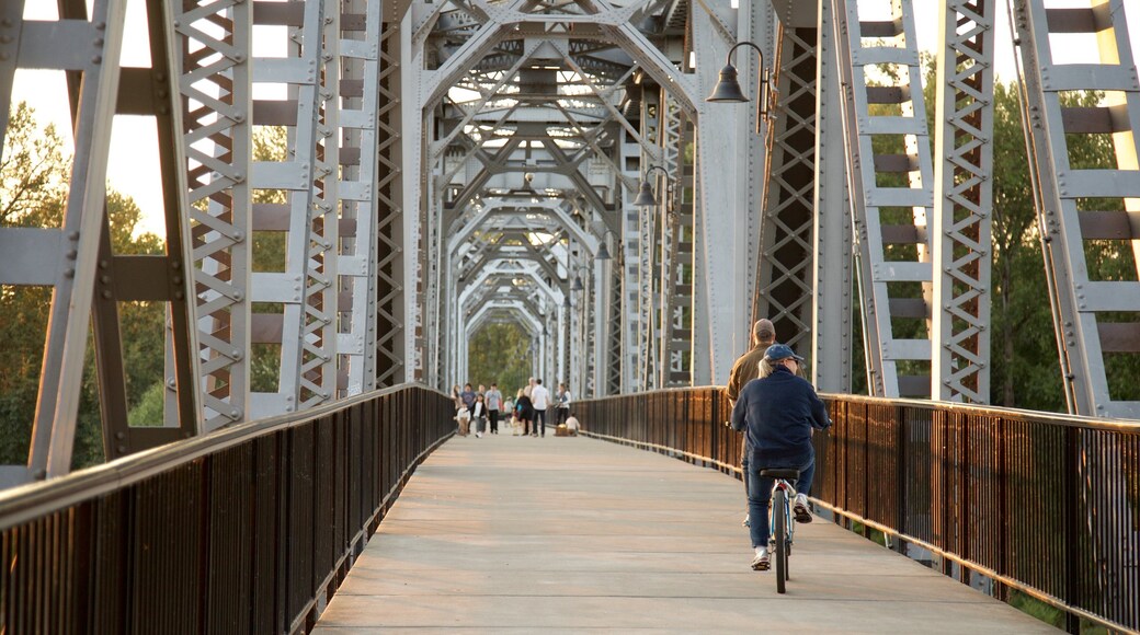 Salem showing a bridge and cycling