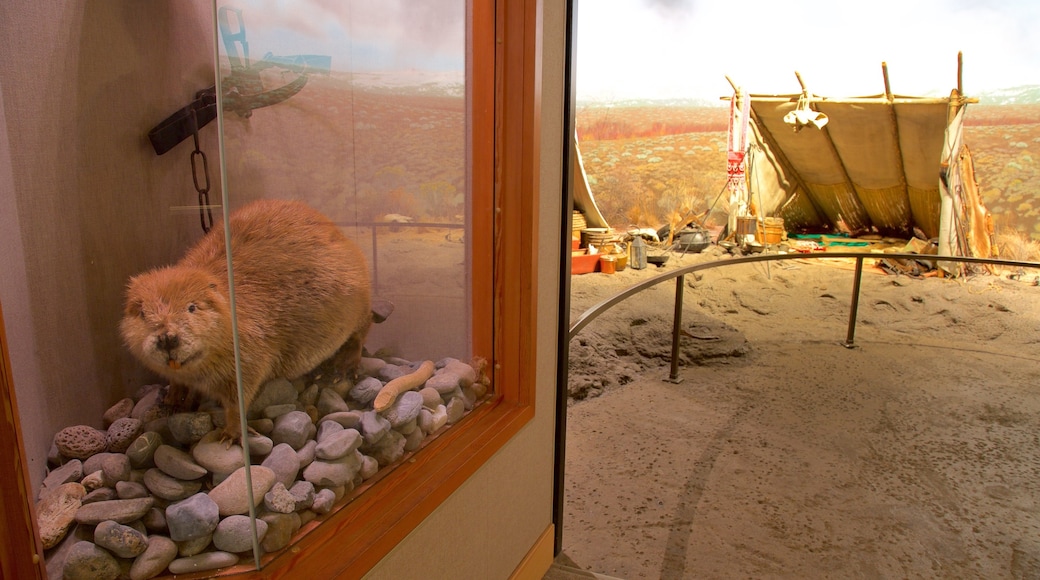 High Desert Museum featuring interior views