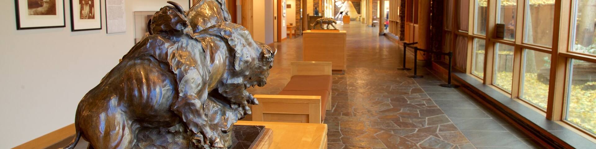 High Desert Museum featuring interior views