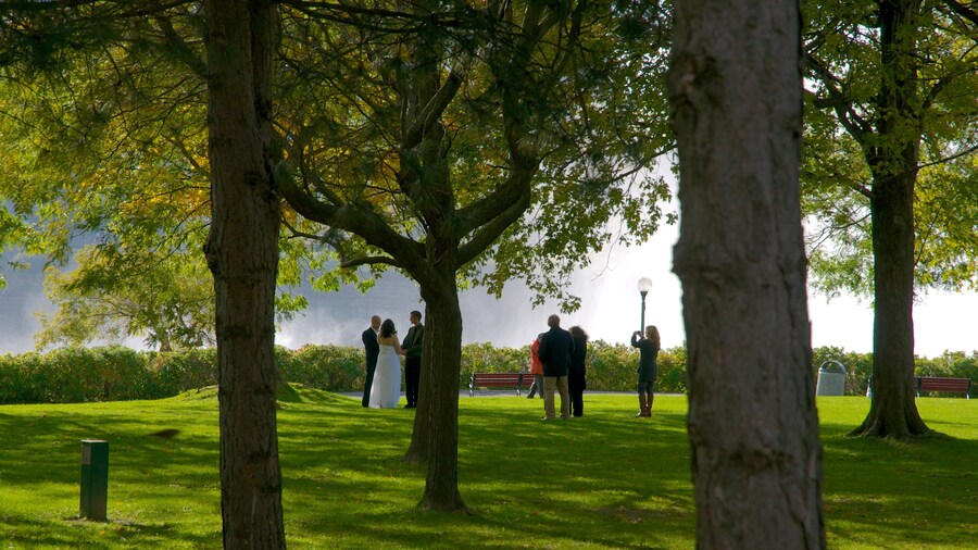 Visitors enjoying the greenery and iconic views at Niagara Falls State Park.