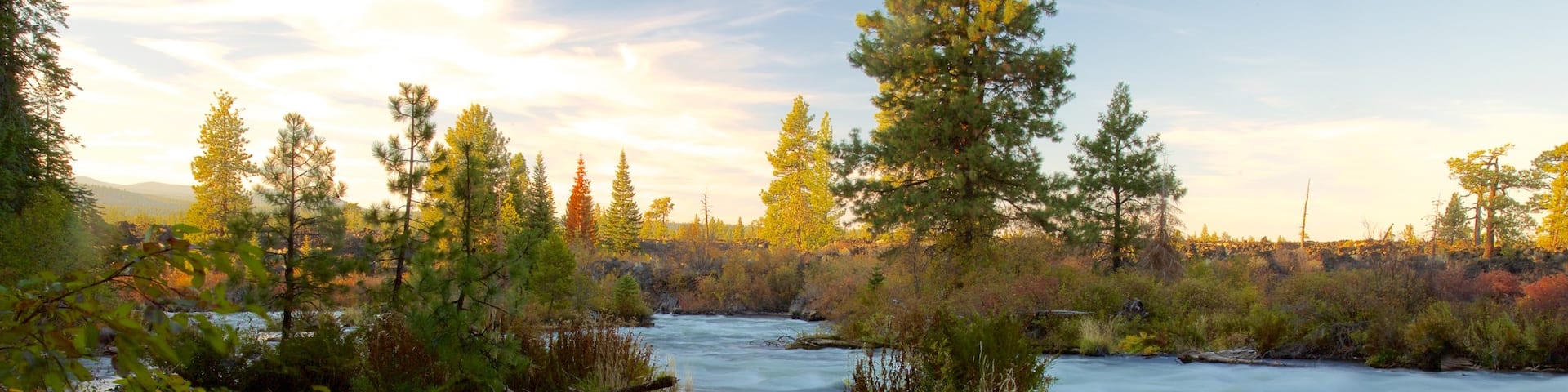 Deschutes National Forest featuring autumn colours, rapids and forests