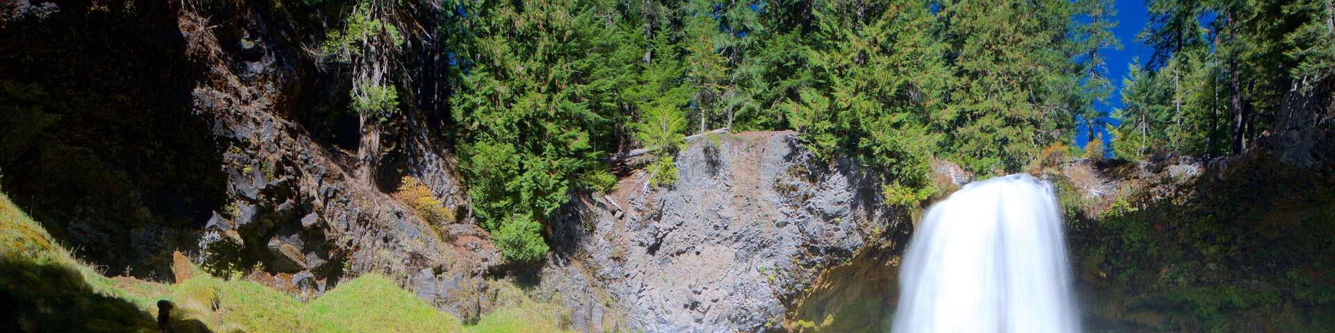Willamette National Forest which includes a river or creek and a waterfall