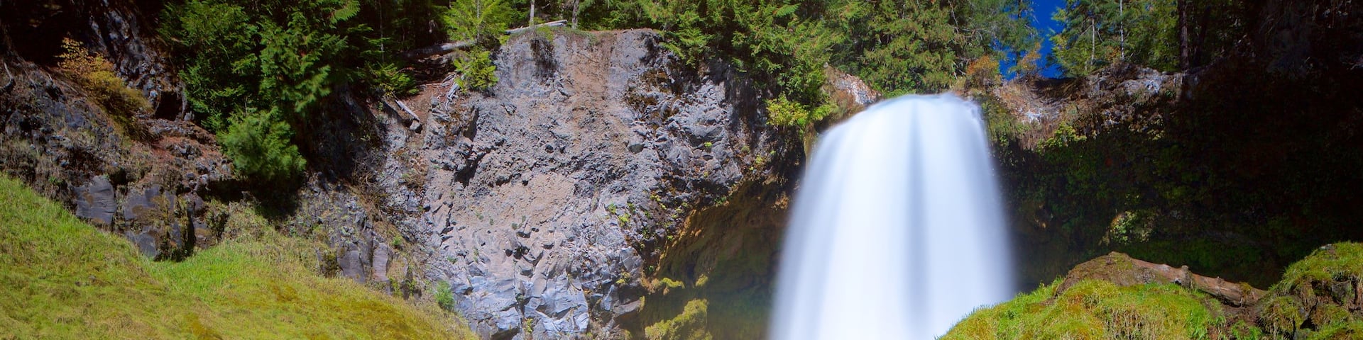 Willamette National Forest showing a waterfall