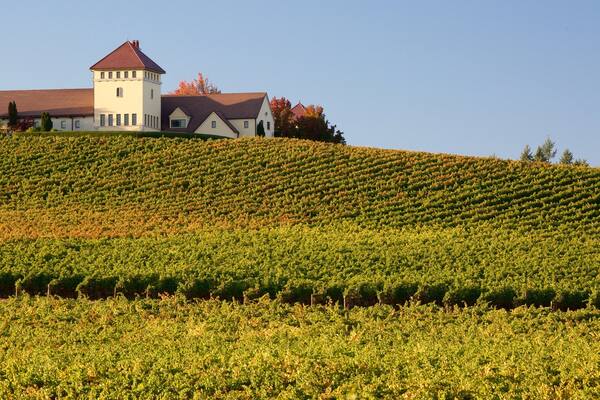 King Estate which includes landscape views, a house and farmland