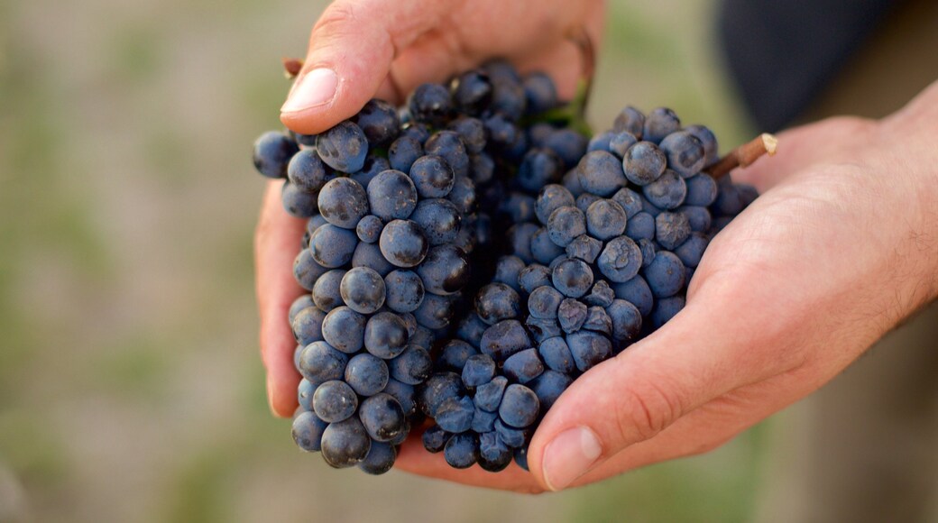 King Estate caratteristiche di cibo e terreno coltivato