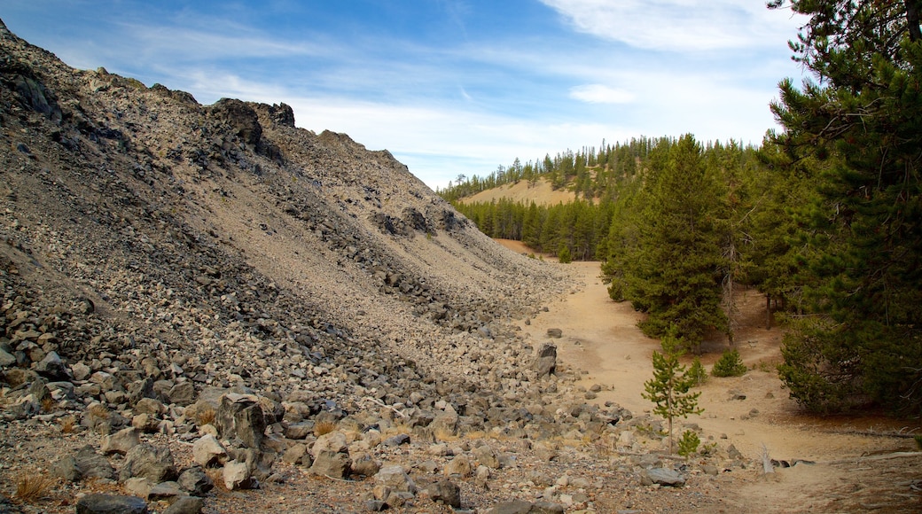 Newberry National Volcanic Monument which includes forests and tranquil scenes