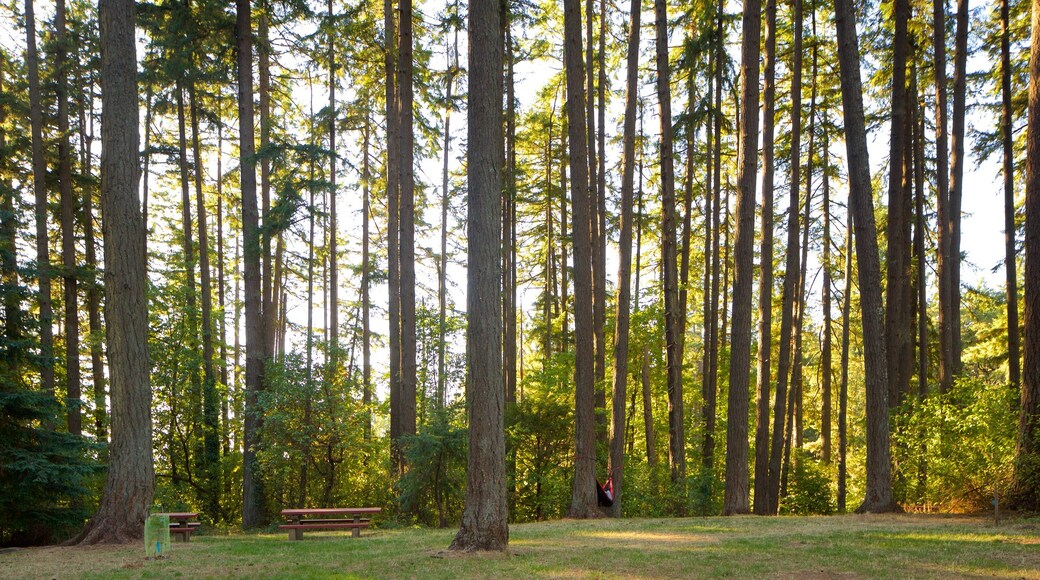 Hendricks Park som inkluderar skogslandskap och en park