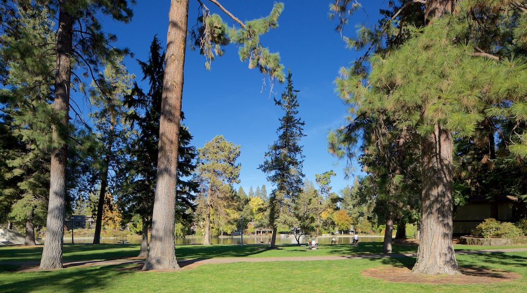 Drake Park mostrando un parque