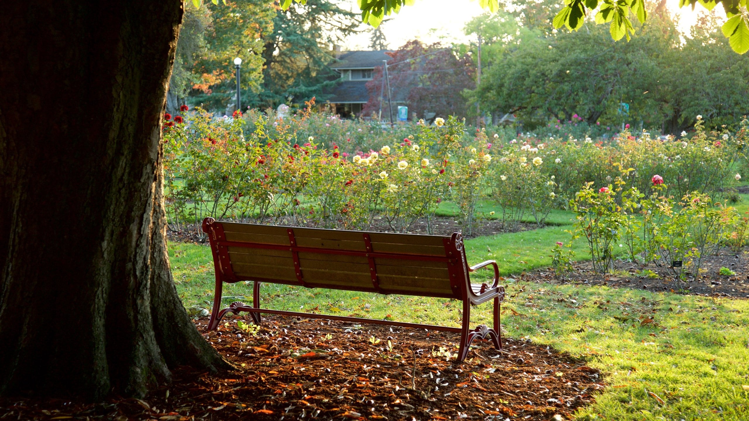 Bush House Museum featuring a garden