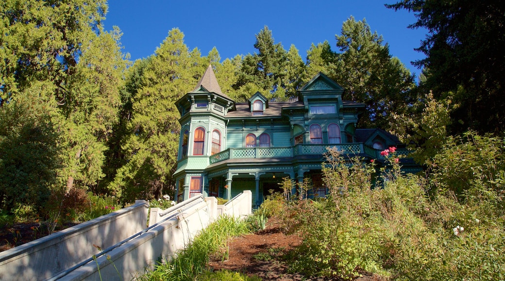 Shelton-McMurphey-Johnson House showing a house