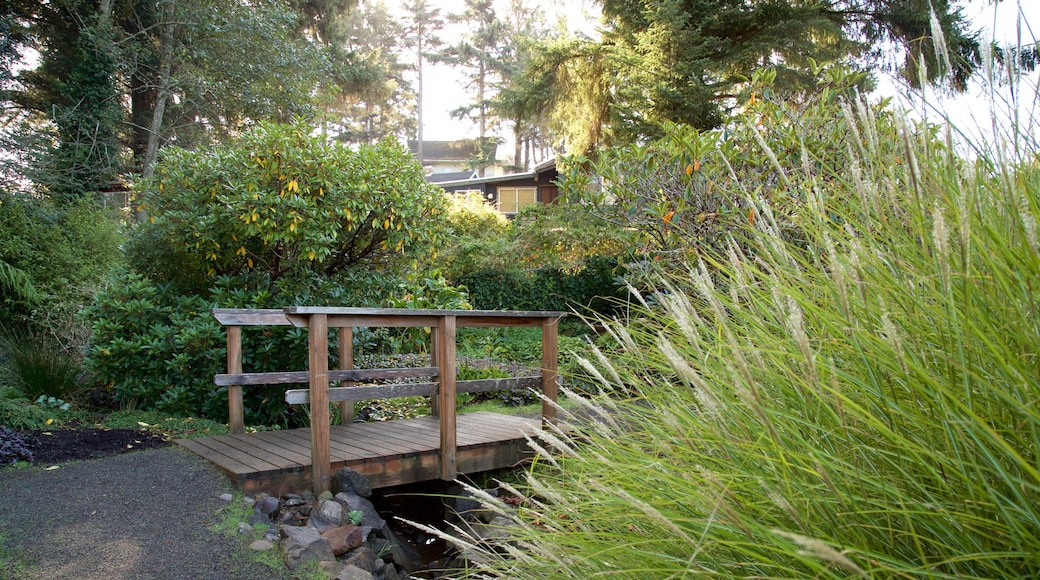 Connie Hansen Garden som visar en bro och en trÀdgÄrd