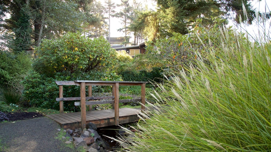 Connie Hansen Garden che include giardino e ponte