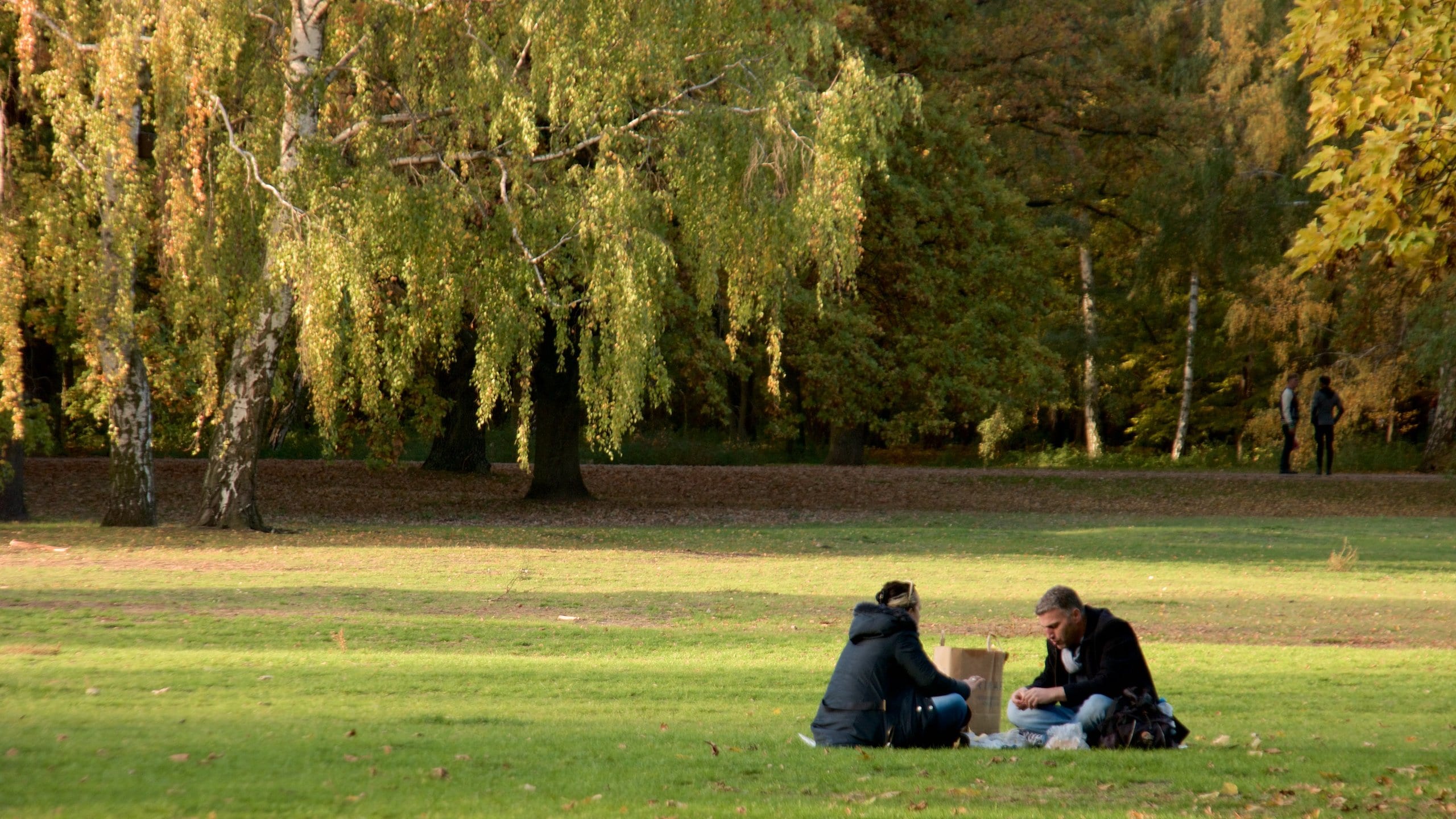 ティーアガルテン観光ガイド 定番人気スポットを参考に自分にピッタリの観光プランを立てよう エクスペディア ティーアガルテン観光ガイド 定番人気スポットを参考に自分にピッタリの観光プランを立てよう エクスペディア