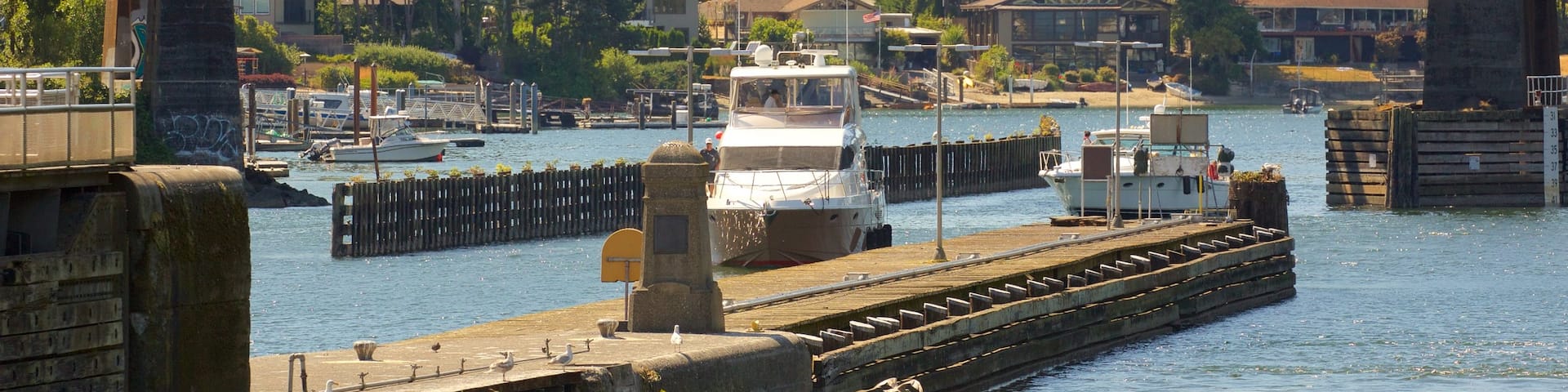 Hiram M. Chittenden Locks som visar en marina