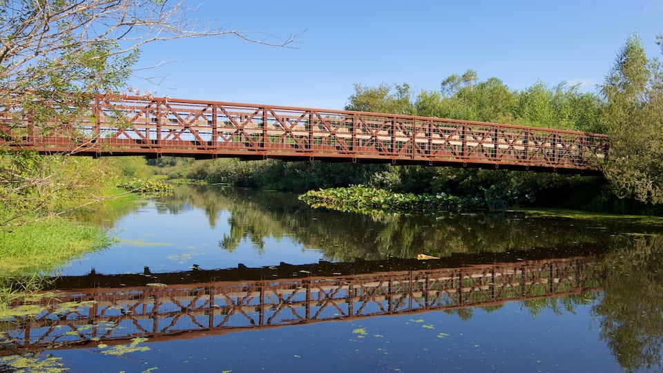 Bellevue showing a river or creek and a bridge