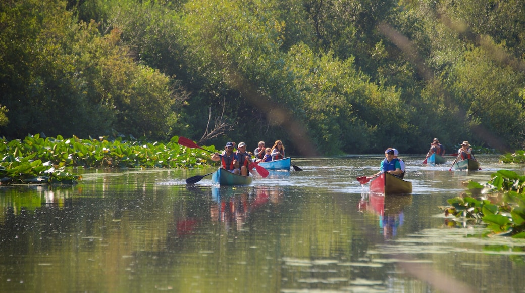 Parc naturel de Mercer Slough
