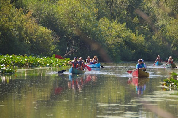 Mercer Slough Nature Park som omfatter en flod eller et vandløb og kajaksejlads eller kanosejlads såvel som en stor gruppe mennesker