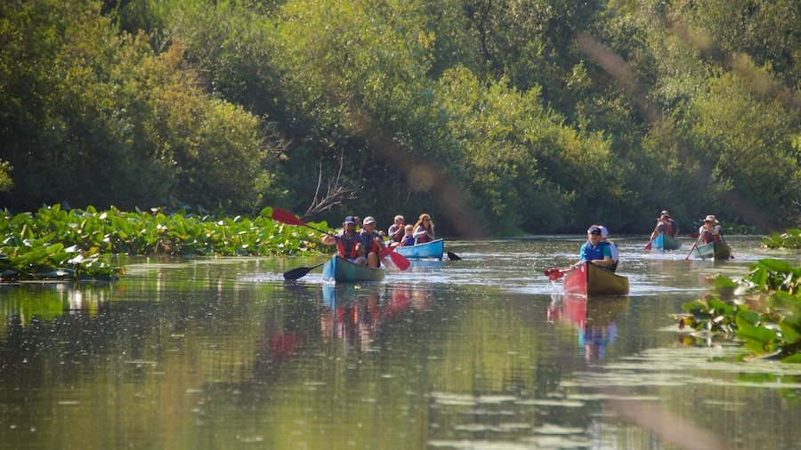 Parque natural Mercer Slough ofreciendo un río o arroyo y kayaks o canoas y también un gran grupo de personas