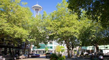 Belltown featuring street scenes