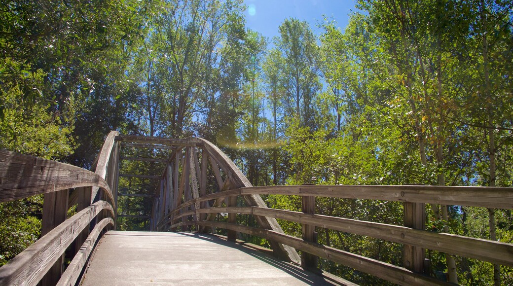 Park at Bothell Landing ofreciendo un puente