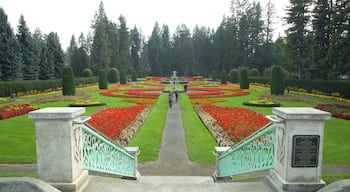 Manito Park which includes a park and flowers