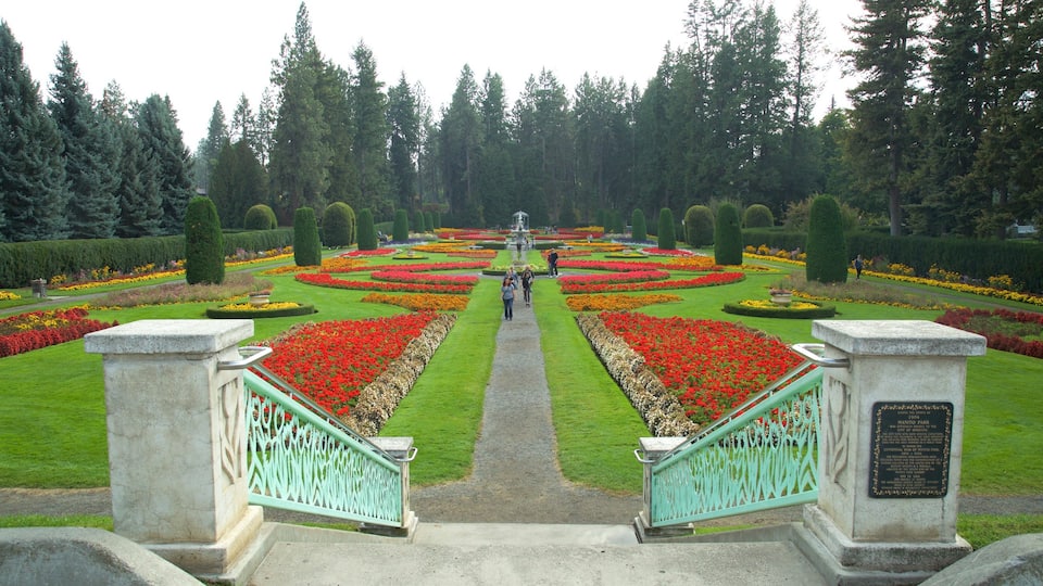 Manito Park showing a garden and flowers