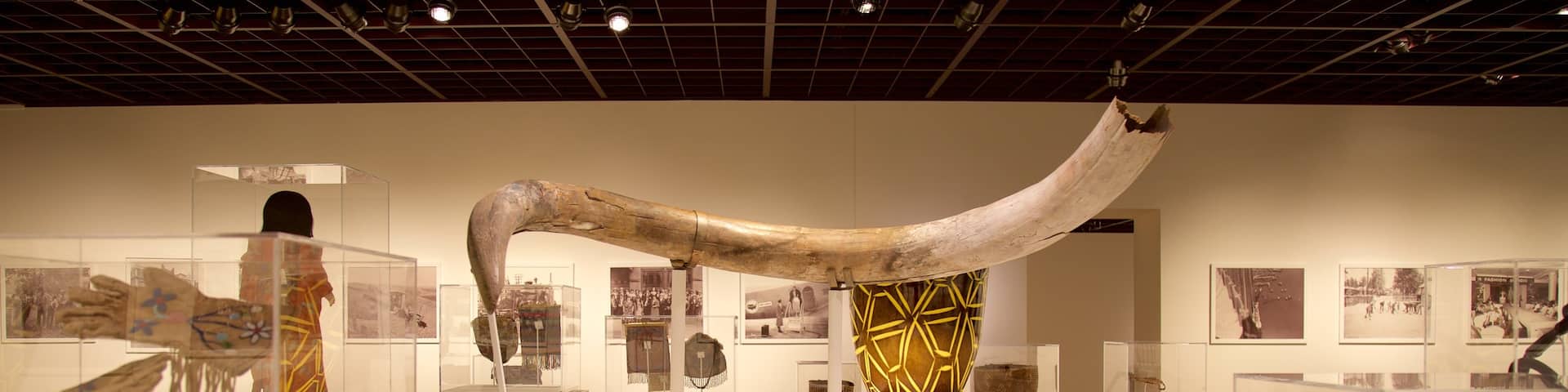 Northwest Museum of Arts & Culture das einen Innenansichten