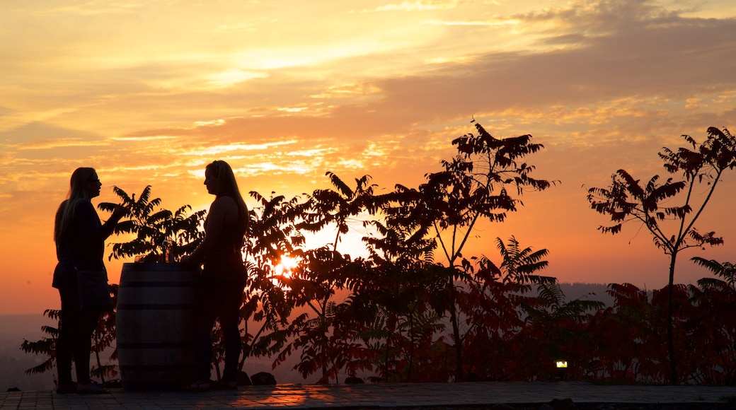 Arbor Crest Wine Cellars bevat tropische uitzichten en een zonsondergang en ook een klein groepje mensen