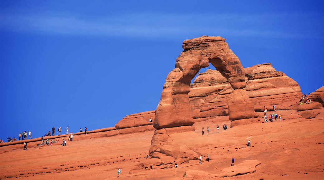 Moab showing desert views as well as a large group of people