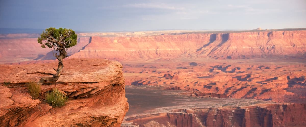 Parque nacional Tierra de Cañones mostrando escenas tranquilas y vista al desierto