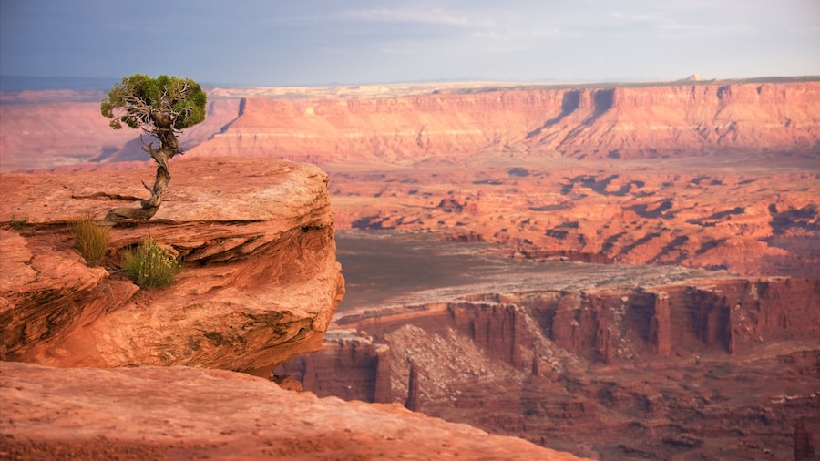 Canyonlands National Park which includes desert views and tranquil scenes