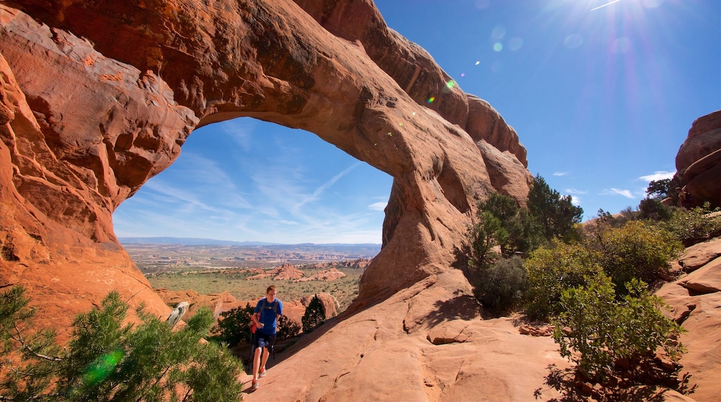 Partition Arch