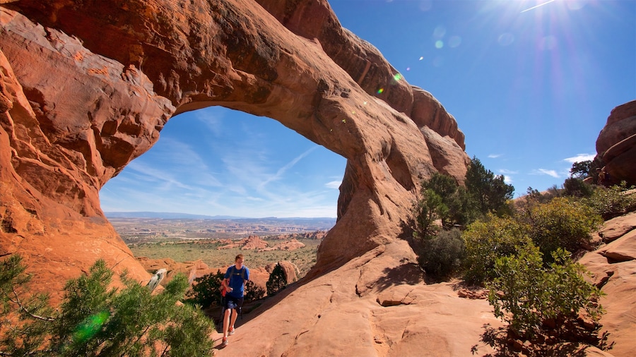 Partition Arch mit einem Wüstenblick