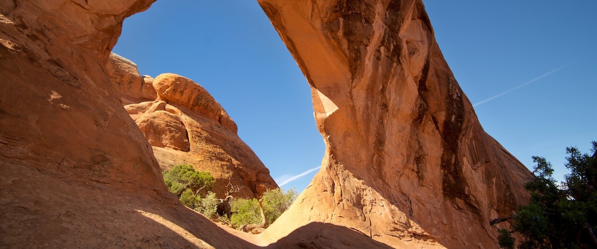 Partition Arch featuring desert views