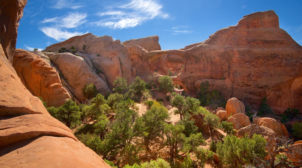 Arches National Park que incluye vistas al desierto