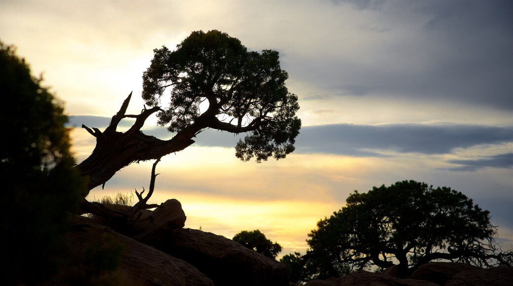 Moab que incluye un atardecer y escenas tranquilas