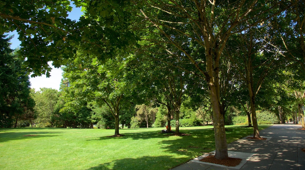 Downtown Park caratteristiche di giardino