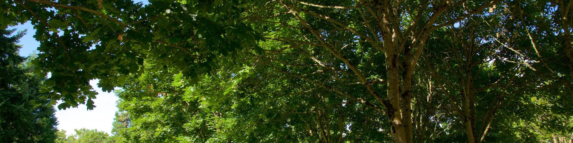 Downtown Park featuring a park