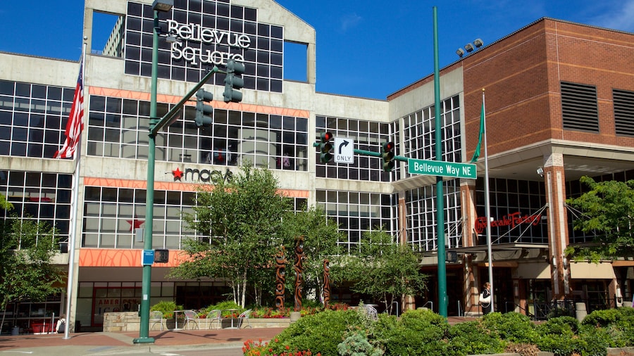 Bellevue Square featuring street scenes and a square or plaza