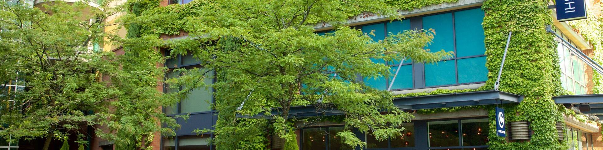 Bellevue Square showing street scenes and a square or plaza