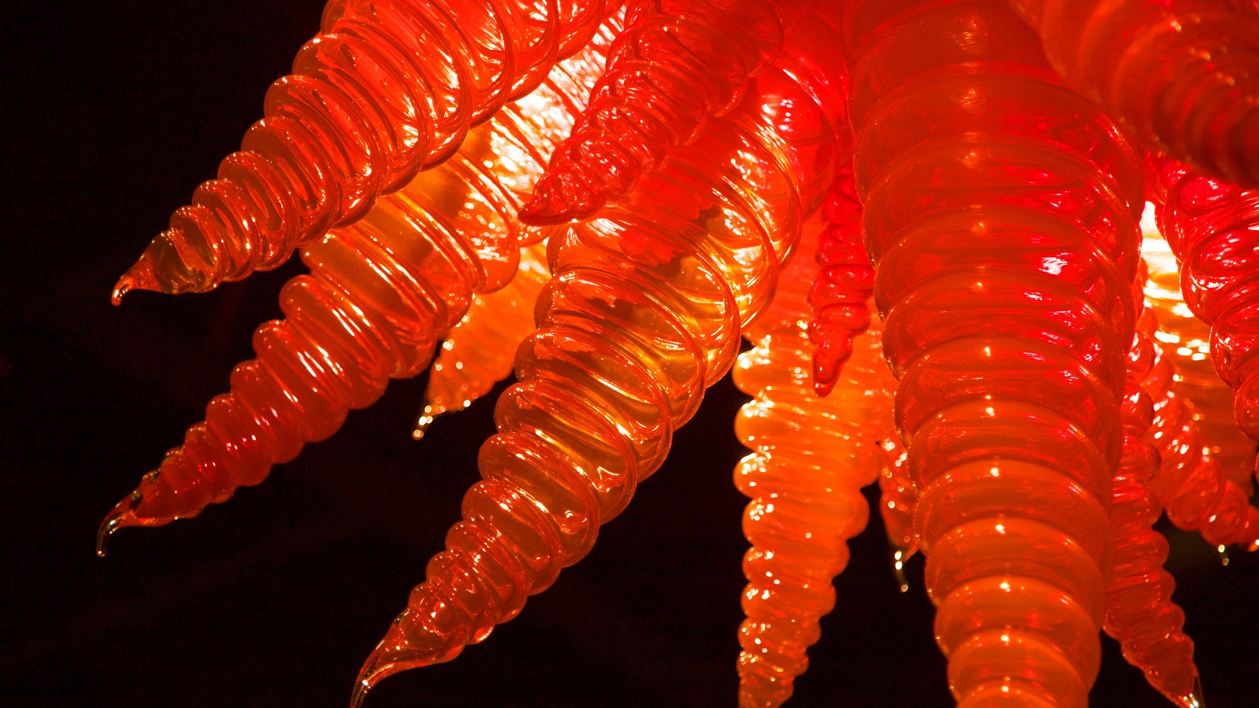 Dale Chihuly / Chihuly on Fire デイル・チフーリ ガラス 工芸