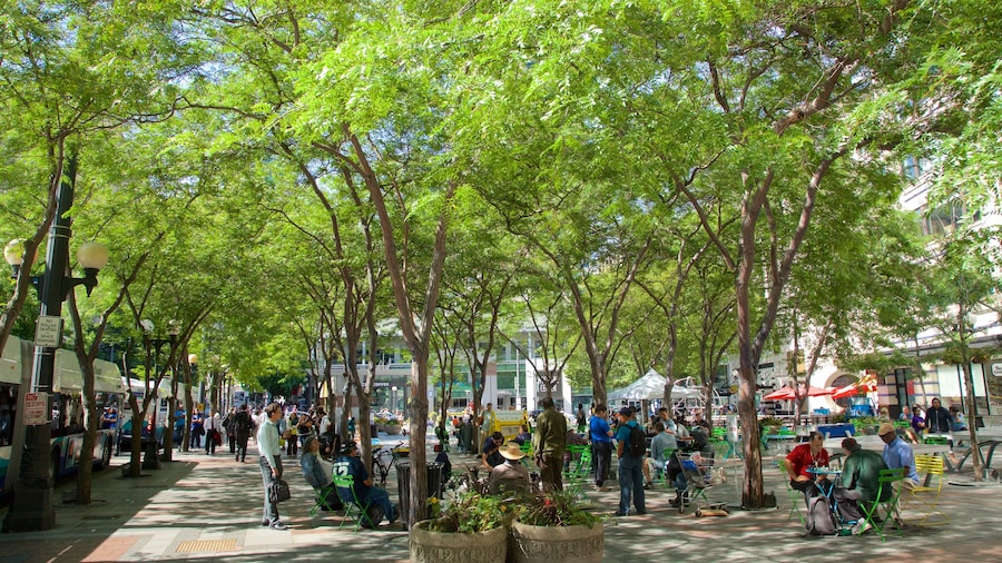 Centro Westlake mostrando una plaza y también un gran grupo de personas