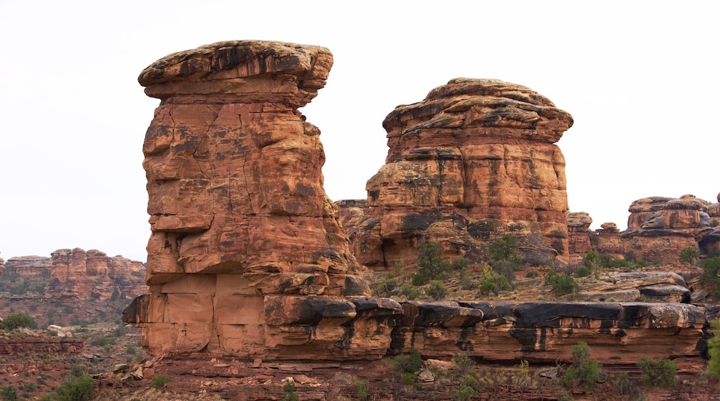 Parque nacional Tierra de Cañones mostrando una garganta o cañón, escenas tranquilas y vista al desierto
