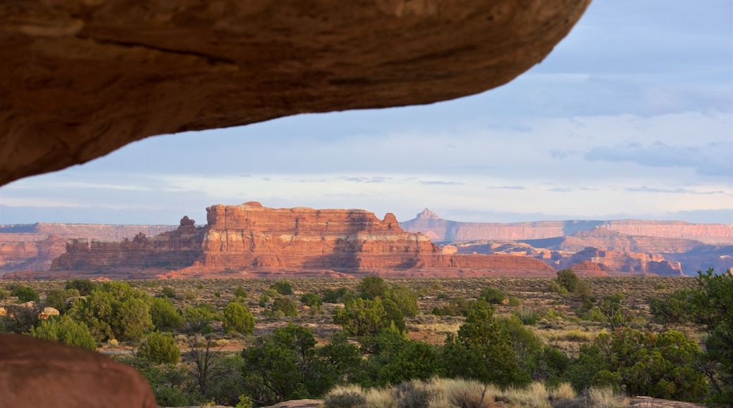 Canyonlands National Park showing desert views, a gorge or canyon and tranquil scenes