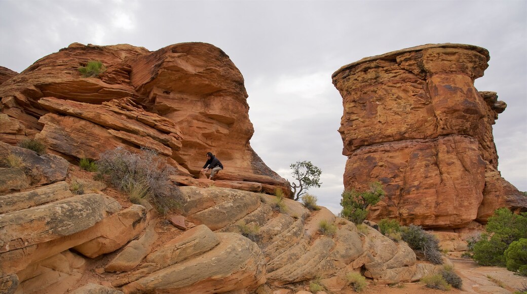 Parque nacional Tierra de Cañones que incluye un barranco o cañón, escenas tranquilas y vistas al desierto