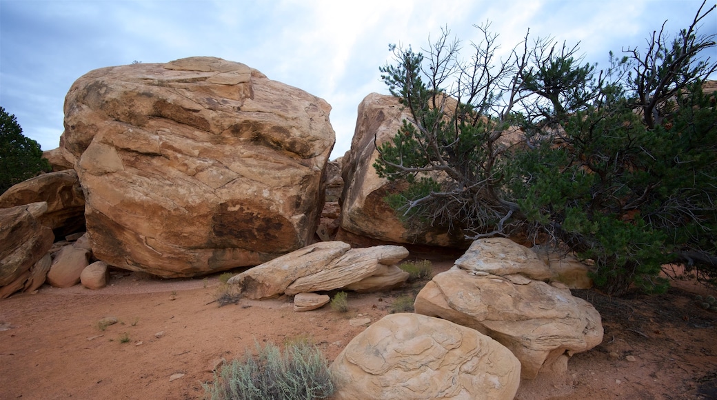 Canyonlands National Park toont woestijnen en vredige uitzichten