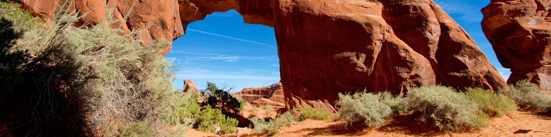 Parc national des Arches qui includes gorge ou canyon, vues du désert et scènes tranquilles
