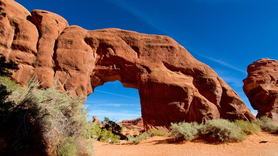 Arches National Park mostrando situaciones tranquilas, un cañón o garganta y paisajes desérticos