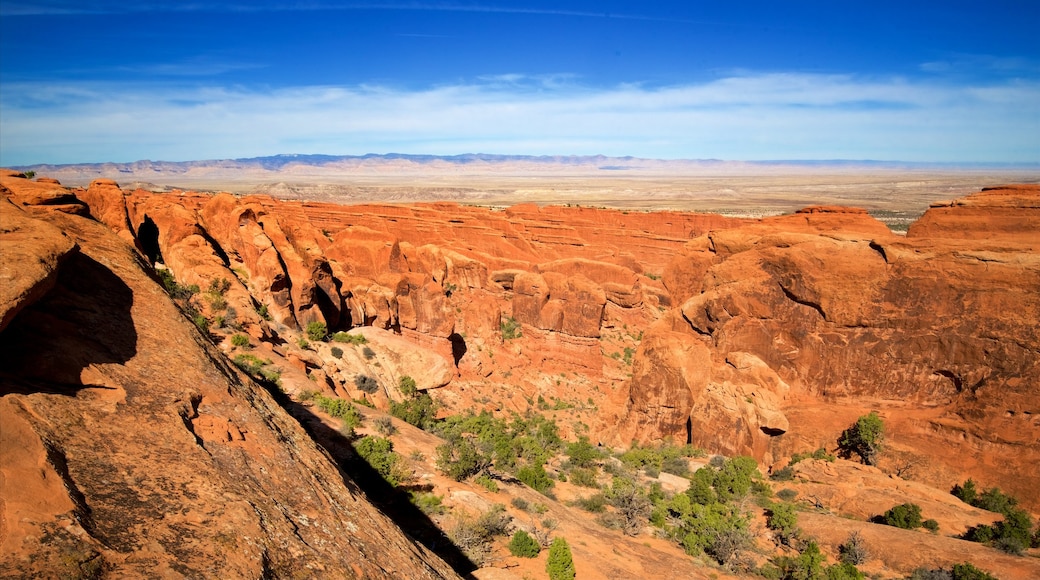 Moab que incluye vistas al desierto, escenas tranquilas y un barranco o cañón