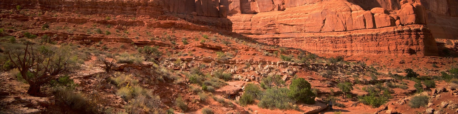 Arches National Park which includes tranquil scenes, desert views and a gorge or canyon